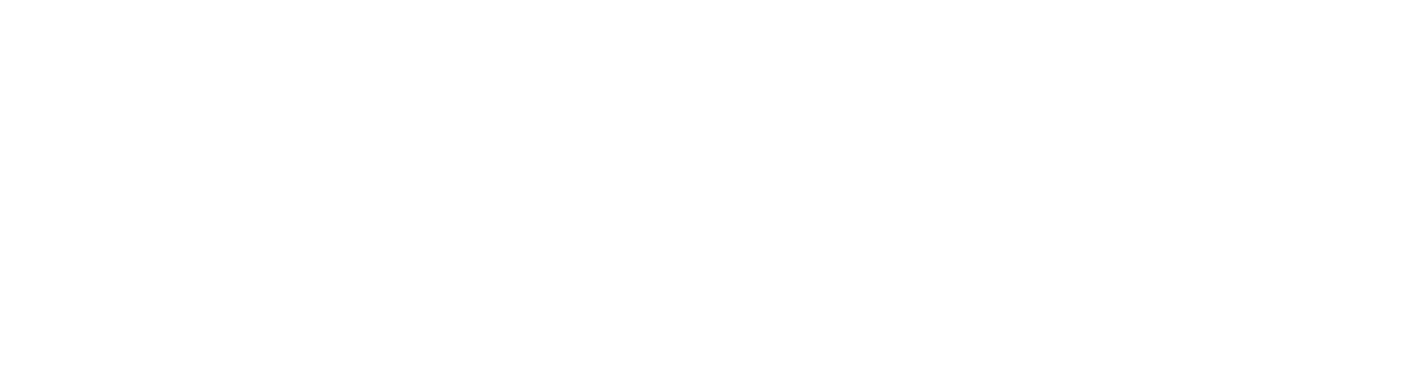 LUMIMAX - a brand of iiM AG LUMIMAX Logo
